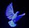 dcc's Avatar