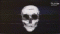 Hackcore55's Avatar